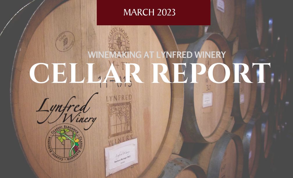 March 2023 Wine Cellar report<br />
