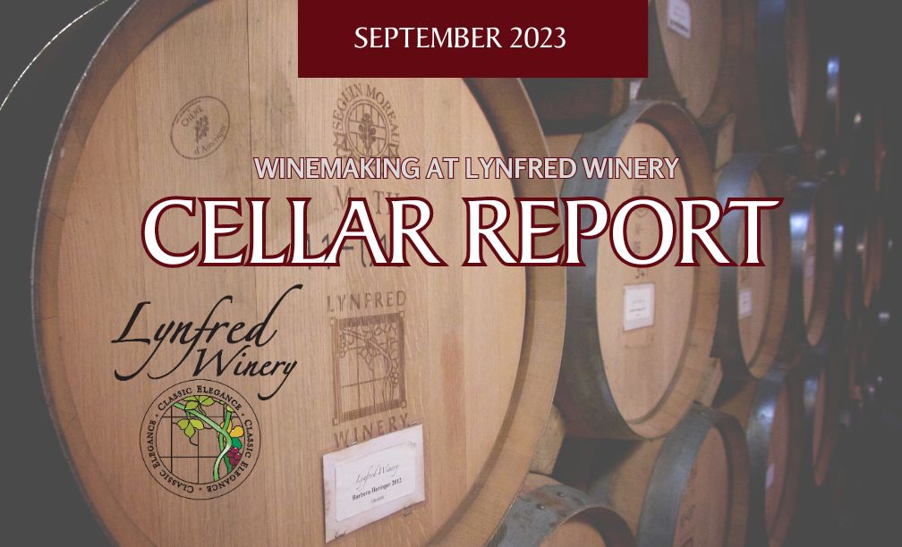 March 2023 Wine Cellar report<br />
