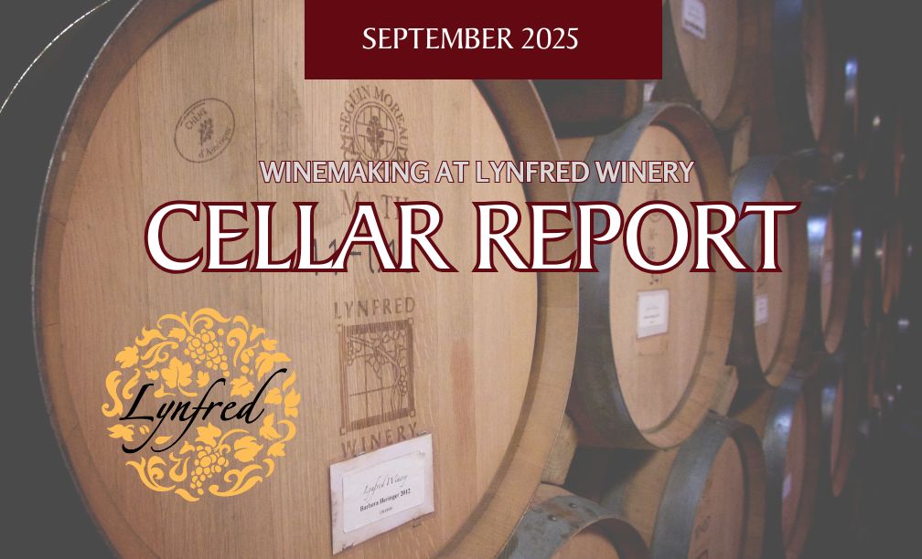 July Cellar Report
